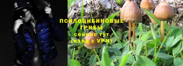 кристаллы Дегтярск